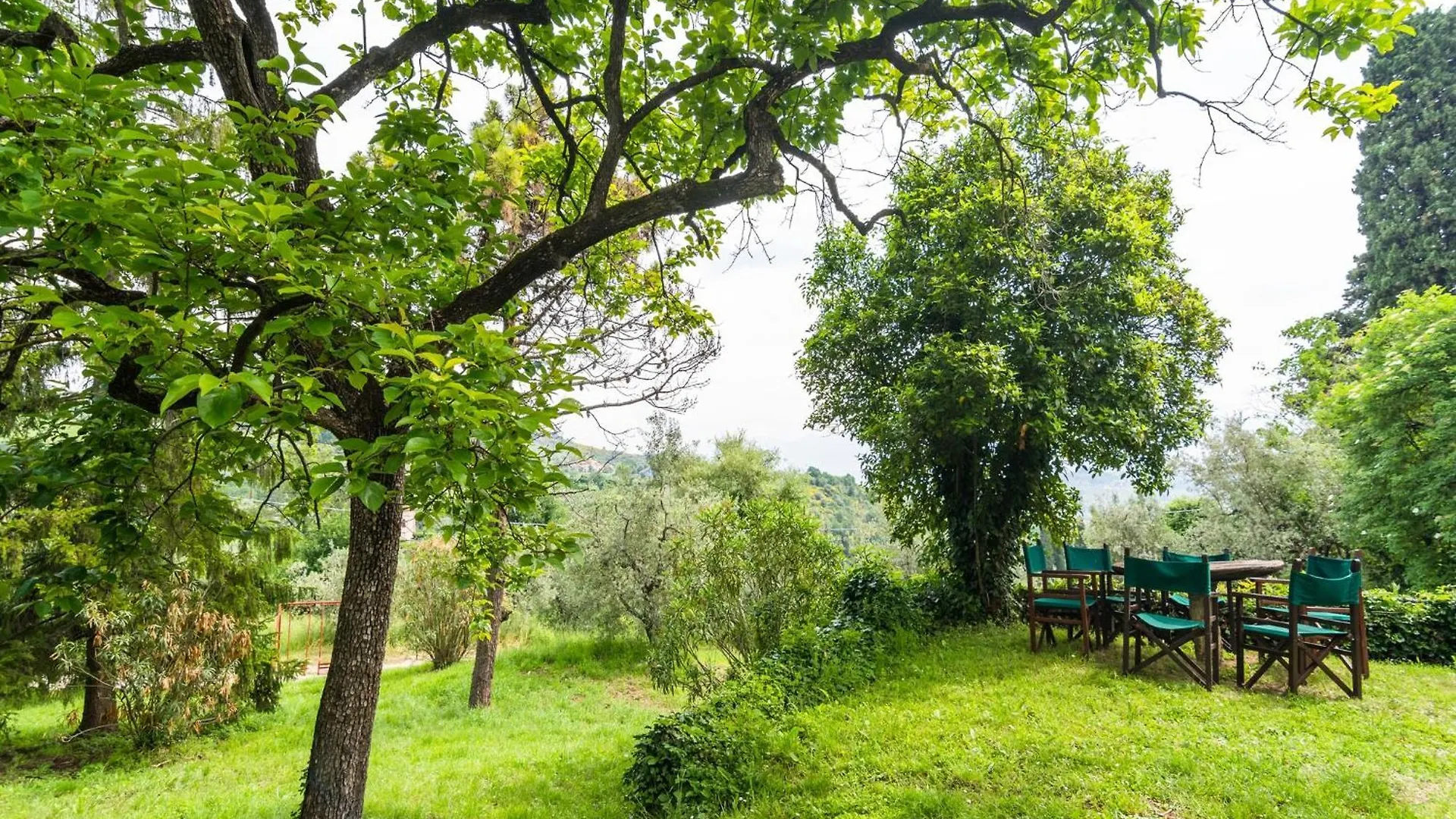 Holiday home Cosy Farmhouse In Bacchereto With Swimming Pool Carmignano