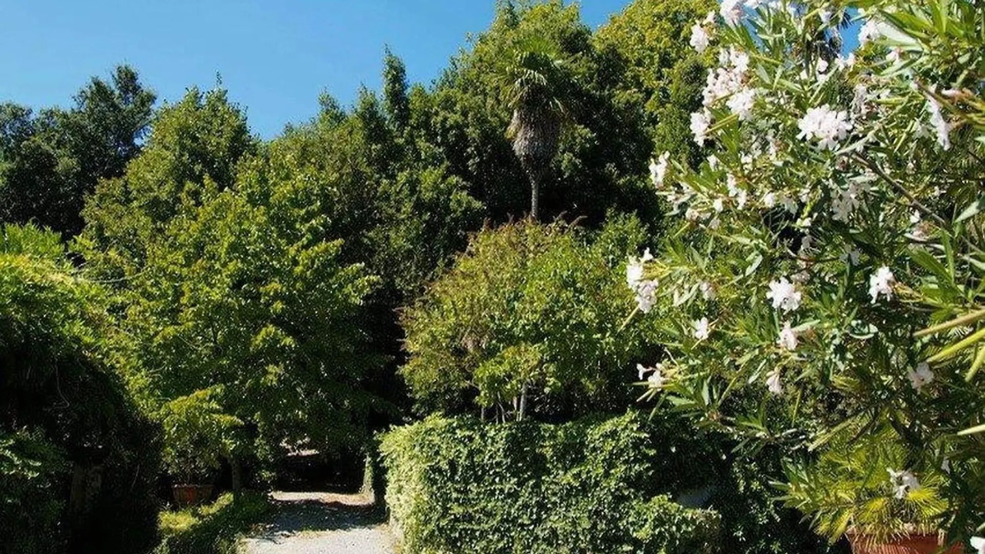 Cosy Farmhouse In Bacchereto With Swimming Pool Carmignano Holiday home