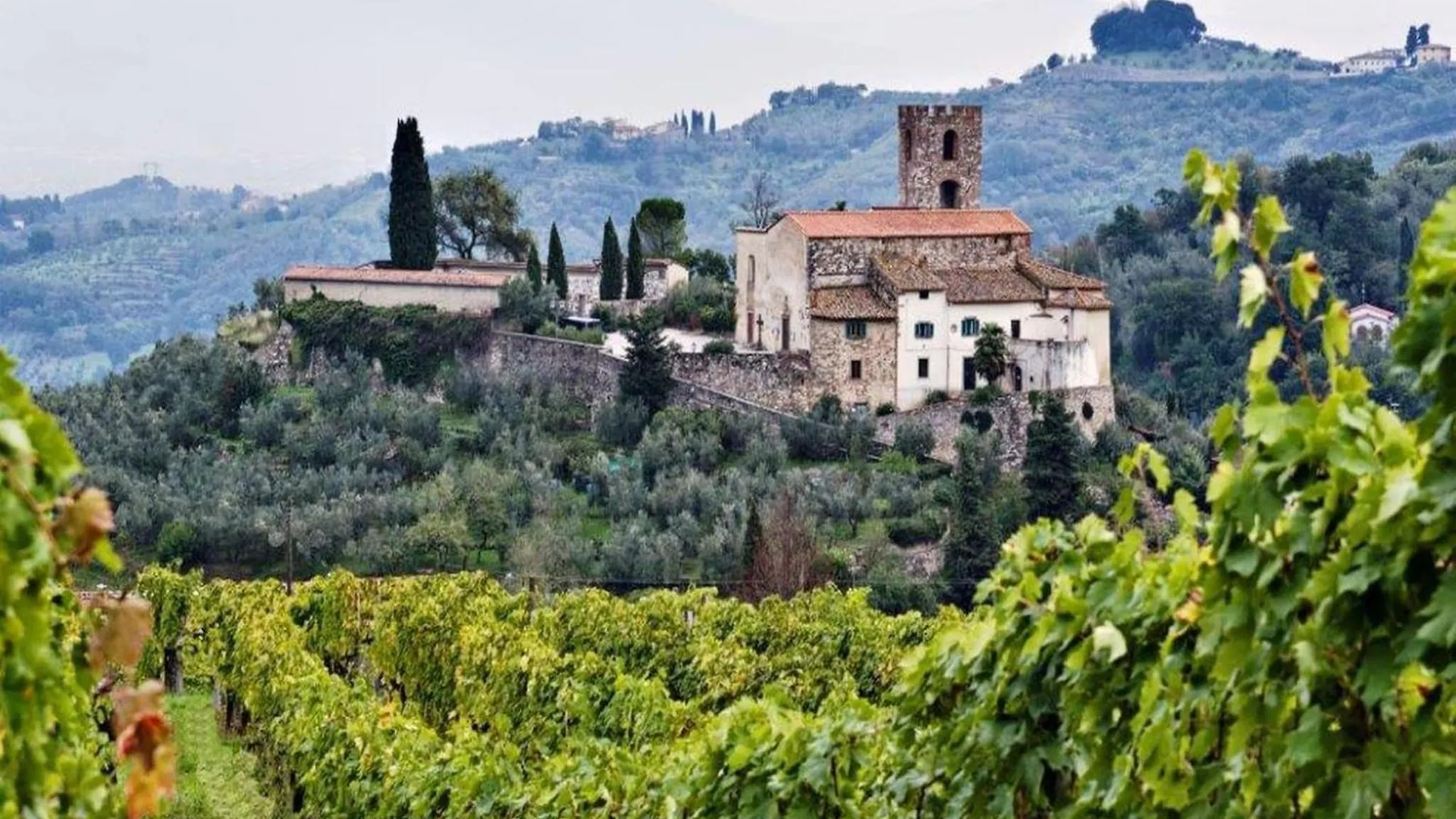 Cosy Farmhouse In Bacchereto With Swimming Pool Carmignano Holiday home