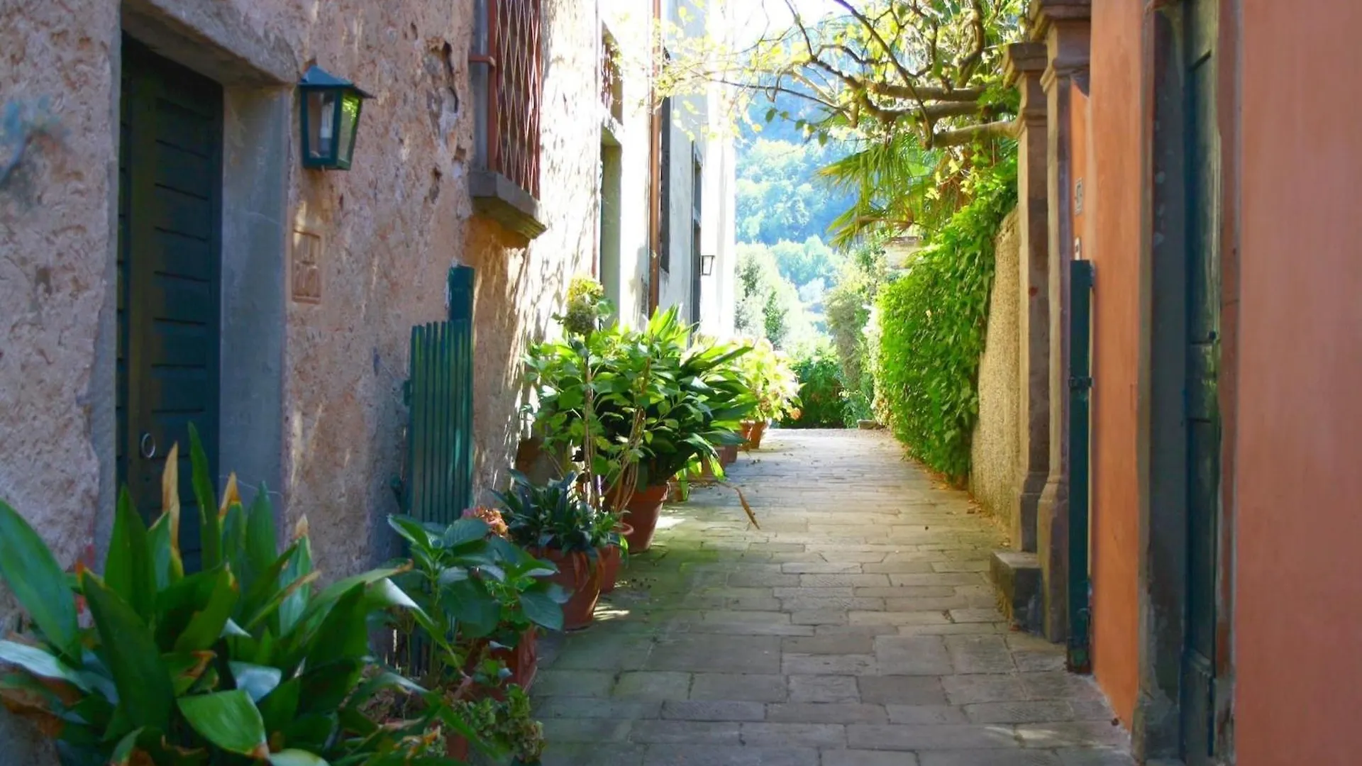 Holiday home Cosy Farmhouse In Bacchereto With Swimming Pool Carmignano